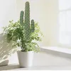 Flores decorativas cactus modelo modelagem estátua plantas falsas simuladas artificial falso decoração de mesa interior pequenos mini adornos