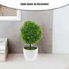 Decorative Flowers 2pcs Artificial Potted Plants Boxwood Topiary Green Grass Greenery In Pots Small Houseplants For Indoor Office Tabletop