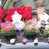 Timer, 2 Stück, Blumenkäfig, Schaumstoffkäfig, Party-Blumenarrangement mit Saugnäpfen, Heimdekoration für frisches Floristenauto