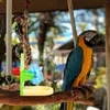 Andra fågelförsörjningar som saknas matleksaker papegoja läckage pedagogisk budare träning leksak plast husdjur intressant