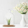 Vases à fleurs préservées, couvercle en verre, vitrines, bocaux à cloche, décoratifs à haute teneur en borosilicate