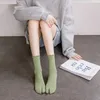 Women Socks Comfortable Casual Cotton Female Candy Color Ruffles Two Finger Hosiery Toe Middle Tube