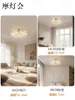 Ceiling Lights Nordic Metal Aluminum Living Room Dimming Modern Luxury Hall Bedroom Dining Main Lamps Fixtures