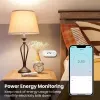 Controle Tuya 16/20A Brasil Standard WiFi Smart Plug Smart Life App Controle remoto Voz de soquete inteligente compatível para o Google Home Alexa