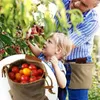 Borse contenitore 2 pezzi Grembiule da raccolta Frutti da diserbo Raccolta di bacche all'aperto portatile Raccolta foraggiamento Borsa pratica per giardinieri Verdure