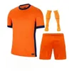 2024 Euro Cup Pays-Bas Soccer Jerseys MEMPHIS DE JONG VIRGIL DE LIGT GAKPO DUMFRIES BERGVIJN KLAASSEN Fans Player Football Shirt Hommes Enfants Kits 24 25 Accueil Awa