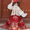 Ming Dynasty Hanfu Women New Dragon and Phoenix Year Celebration Dress Dress Horse Skirt Chinese Costume