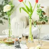 Vase Ikebana Glass Vase Vase Aesthetic Hydroponic Tall Modern Nordic Small Design Transparent Plant Floreros Decoration Home