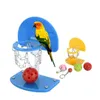 Outros suprimentos de pássaros Parrot Toy Mini Basketball Stands Hoop Pet Toys Periquito Budgie Cockatiel