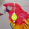 Outros suprimentos de pássaros 1/2/3pcs cores pet papagaio brinquedo ovo sino bola pendurado pétala contas casa decroação venda