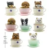 8 szt. Teacup pies koty figurka mini zwierzęta dekoracja miniaturowa zająca żywica figurka rzemiosła domowe ozdoby ogrodowe DIY Akcesoria 240401