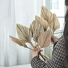 Fleurs décoratives-12 pièces feuilles de palmier séchées naturelles décor Boho feuille pour mariage décoration chambre cuisine bureau 10X40cm