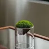 Vasos engrossar garrafa de musgo de vidro criativo flutuante montanha micro-paisagem ecológica decorações de casa vaso de planta hidropônica