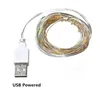 USB LED Fairy Lights Garland Copper Wire Light String Wedding Party Christmas New Year Eve Garland Decoration