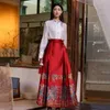 Shenzhen high end Hanfu häst ansiktskjol tung industri broderi kinesisk stil halva