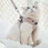 Dog Collars Harness And Strap Set User-Friendly Cat Strape Flexible Behavior Aids For Festival Parades Traveling Camping