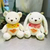 Animaux en peluche en peluche kawaii anniversaire ours en peluche mini-poupées mignonnes poupées bébé dessin doux toys en peluche fête anniversaire décorer garçons filles cadeau 240327