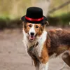 犬アパレル2 PCSクリスマス装飾装飾子犬の帽子猫愛らしいフェルト素敵な子猫の多機能犬用品
