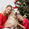 Abbigliamento per cani 2 pezzi Cappello natalizio per animali domestici Gatto Accessori per abiti da Babbo Natale Decorazione per cuccioli e gattini