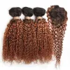 Tessi a corto di fasci ricci pieni con chiusura al 100% peli umani bundle di capelli ricci brasiliani con chiusura a macchina Natural Color Remy