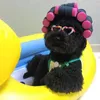 Vêtements de chien bébé bigoudi chapeau drôle crosscommode bigoudis Bang chapeaux coiffure pour Po accessoires fête à thème fantaisie robe partie