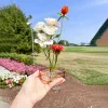 Kosze 12 -pakowa prasa Kenzany okrągłe kwiaty mini kwiatowe żaby piny, 0,9 cala uchwyt na bleń kwiatowy