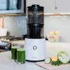 Juicers De Omega juicer is gemakkelijk schoon te maken en kan groenten langzaam persen.Moeiteloze serie sapcentrifuges.Batch-sapextractie.Grote materiaaltrechterL2403