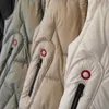 Gilet Femmes Blanc Sleevel Down Cott Manteau 2023 Automne Hiver Nouveau Fi Tempérament LG Slim Light Épaissir Gilet à capuche D8kB #