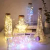 LED USB Fairy Lights Copper Wire String Lights Garland Night Lamp Home Room Indoor Bedroom Wedding Holiday Christmas Decoration