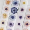 Presente Envoltório Loidesign Vintage Anemone Washi Fita Planejador DIY Cartão Fazendo Scrapbooking Plano Adesivo Decorativo