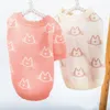 Abbigliamento per cani Abbigliamento per gatti Inverno Costume piccolo Maglione Chihuahua Yorkies Cucciolo Cardigan Pomerania Shih Tzu Maltese Bichon Abbigliamento per animali domestici XS