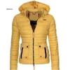 Inverno Fi Com Capuz Fino Luz Mulheres Cott Jaqueta Tamanho Grande Parkas Retro Slim Curto Casual Mulheres Cott Casaco u7e1 #