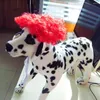 Dog Apparel Wig Curly Black Hair Pet Costume Cosplay Props Funny Head Accessories Soft Lightweight Lace-up Strap Anti-slip Cute