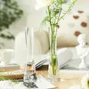 Vases Vase en verre esthétique hydroponique grand moderne nordique petit design transparent plante décoration maison