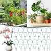 Stöder 10/20st 43 cm växter som klättrar Vine Rack Flower Pot Fixed Plant Growth Support Diy Garden Climbing Trellis grönsaker