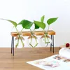 Vases Vase en verre transparent cadre en bois fer Art Terrarium bonsaï Table ornements fleur table hydroponique plante pot
