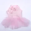 Vêtements pour chiens Chat Princesse Robe Dentelle Boutons tricotés à la main Pet Chiot Sangle Jupe Printemps / Vêtements d'été