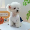 Cão vestuário filhote de cachorro vestido outono primavera moda saia dos desenhos animados pet desinger roupas pequeno bonito colete gato arnês poodle yorkshire maltese