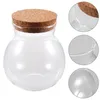 Bouteilles de stockage conteneur Transparent bouteille en verre d'aquarium pot scellé mode souhaitant décor Mini ornements