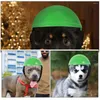 Vêtements pour chiens Chapeau dur pour animaux de compagnie Décoration en plastique Sécurité pour chat décoratif Chiot de protection