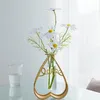 VASES CREATIVES HYDROPONIC GLASS TEST-TUBE VASE DESKTOP ORNAMNENTSリビングルームテーブルデコレーションクラフト使いやすい14 x 5.5 18.5cm