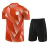 23 24 Bayern Kit de survêtement pour adultes à manches courtes Maillots de football Surveytement 2023/2024 Sane Gnabry Muller Kimmich Football Homme Gilet sans manches Ensemble de costume d'entraînement