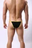 Underpants Men's Modal Bikini Underwear Sexy Low Rise Brazilian Back Cut Bulge Briefs Medal Men Panties