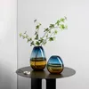 Vases Nordic Loft Florarium Glass Terrarium Interior Round Aesthetic Cachepot Plants Artifact Origin Gift Macetas Desk Decor Vase