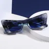 Cats Eye Y2k Fashion Ins the Same Type of Sunglasses for Men and Women Glasses