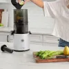 Juicers De Omega juicer is gemakkelijk schoon te maken en kan groenten langzaam persen.Moeiteloze serie sapcentrifuges.Batch-sapextractie.Grote materiaaltrechterL2403