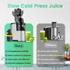 Juicers Mastic Juicer 3,5-tums (88mm) Strong Slow Press Juicer med stor foder Chute Electric Mastic Juicerl2403