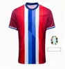 Norvegia 2024 2025 maglia calcistica Haaland Odegaard Strand Larsen Sorloth Berg Ajer Nusa Bobb Ostigard Vetlesen Thorstvedt 24 25 National Team Men Kids Football Shirt