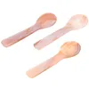 Spoons 3 Pcs Handcrafted Mother-of-pearl Caviar Spoon Small Soup Rice Home Shell Meal No Paint