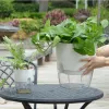 POTS Innovativa lata blommorpanna Automatisk vattenabsorberande blomkruka Transparent plast Självvatten Planter Plantor Nursery Pods